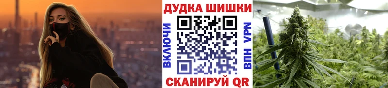 продажа наркотиков  Бакал  гидра ССЫЛКА  Марихуана SATIVA & INDICA 